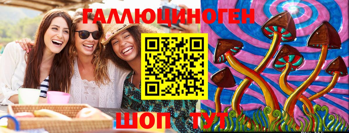 Галлюциногенные грибы Magic Shrooms Чернушка